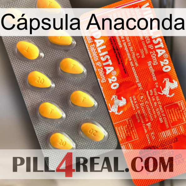 Cápsula Anaconda new01.jpg